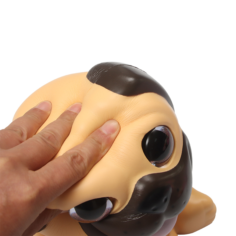 An enormous Havanese dog.